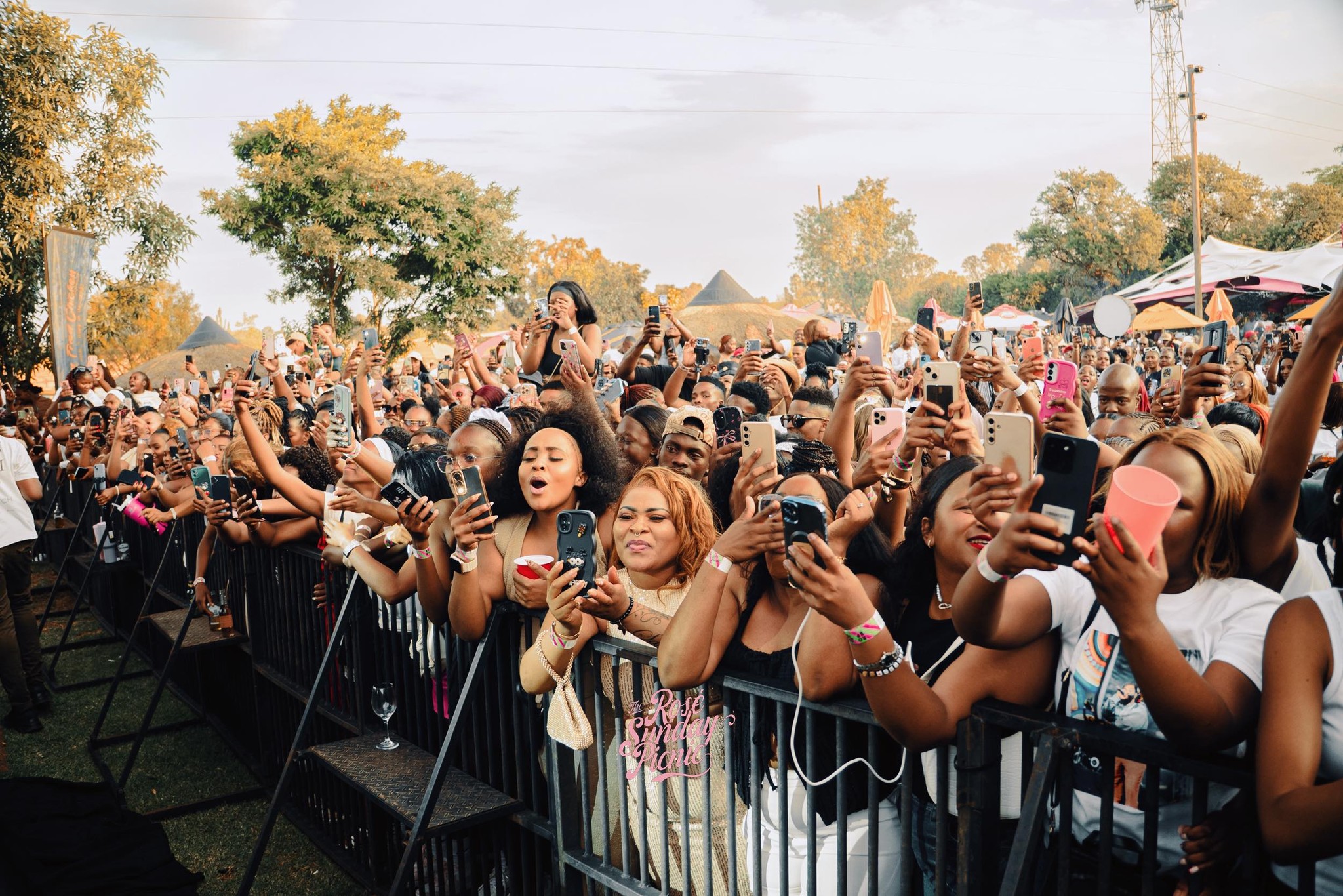 The Rosé Sunday Picnic crowd