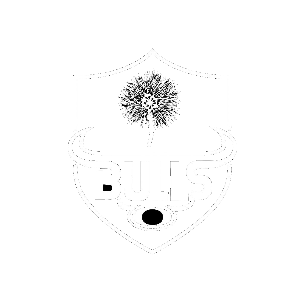 Blue Bulls